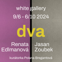 Výstava DVA, White Gallery, Osík, 2024